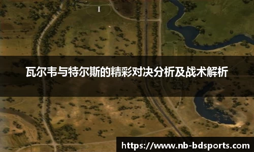 瓦尔韦与特尔斯的精彩对决分析及战术解析