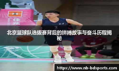 半岛体育官方网站