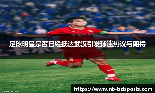 半岛体育APP